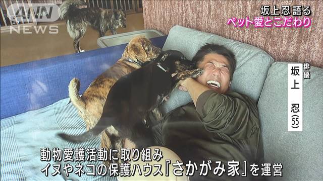 坂上忍語るペット愛と動物愛護