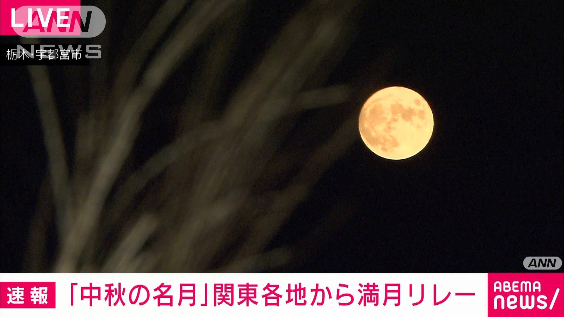 「中秋の名月」関東各地から満月リレー
