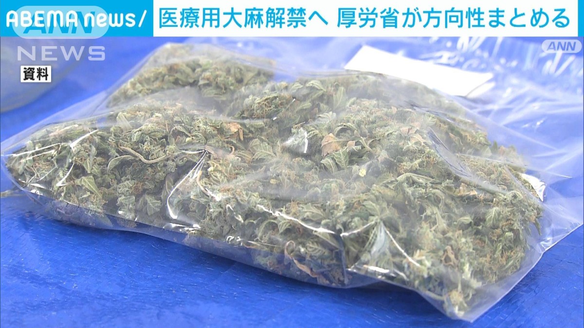 医療用大麻解禁へ 厚労省が方向性まとめる