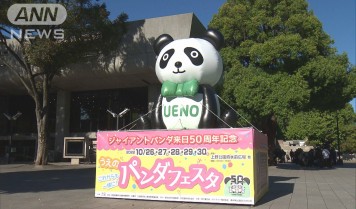 パンダ来日50年】歓迎！カンカン・ランラン 昭和のゆるかわ