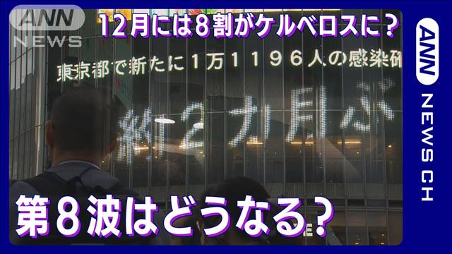 12月には8割がケルベロスに？コロナ新株に効くのは…第8波はどうなる