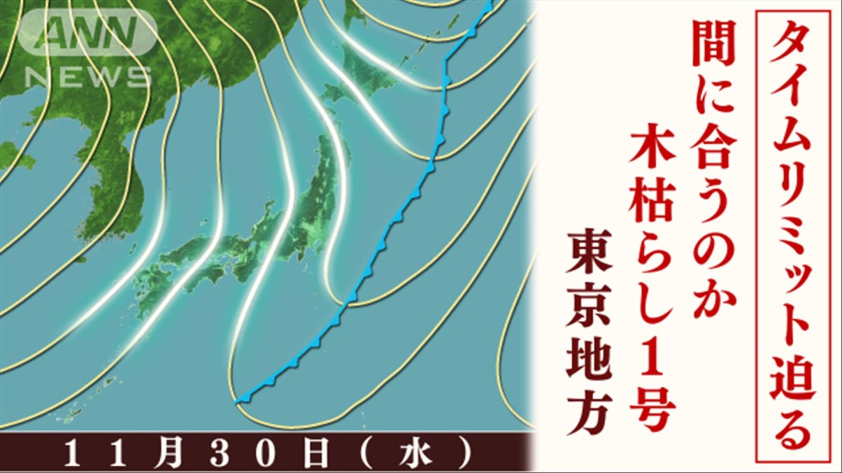 予報士のつぶやき　木枯らし1号　2年連続なしに？