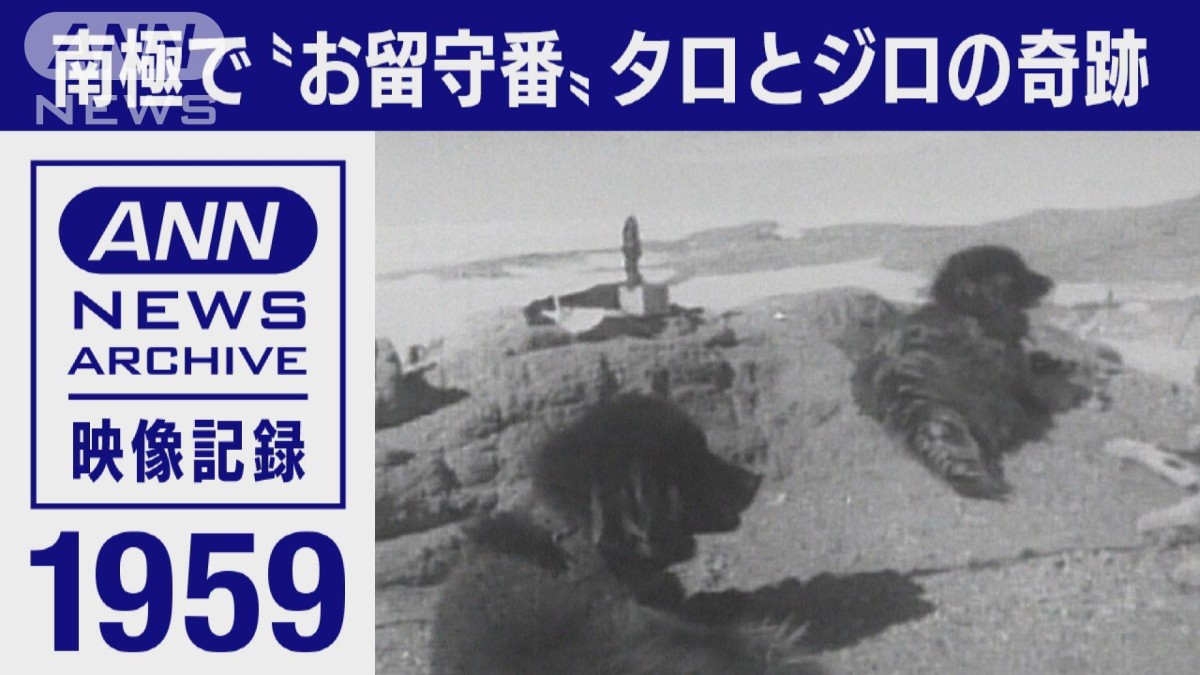 生きていたタロとジロ。カラフト犬置き去りの悲劇から生まれた南極観測 