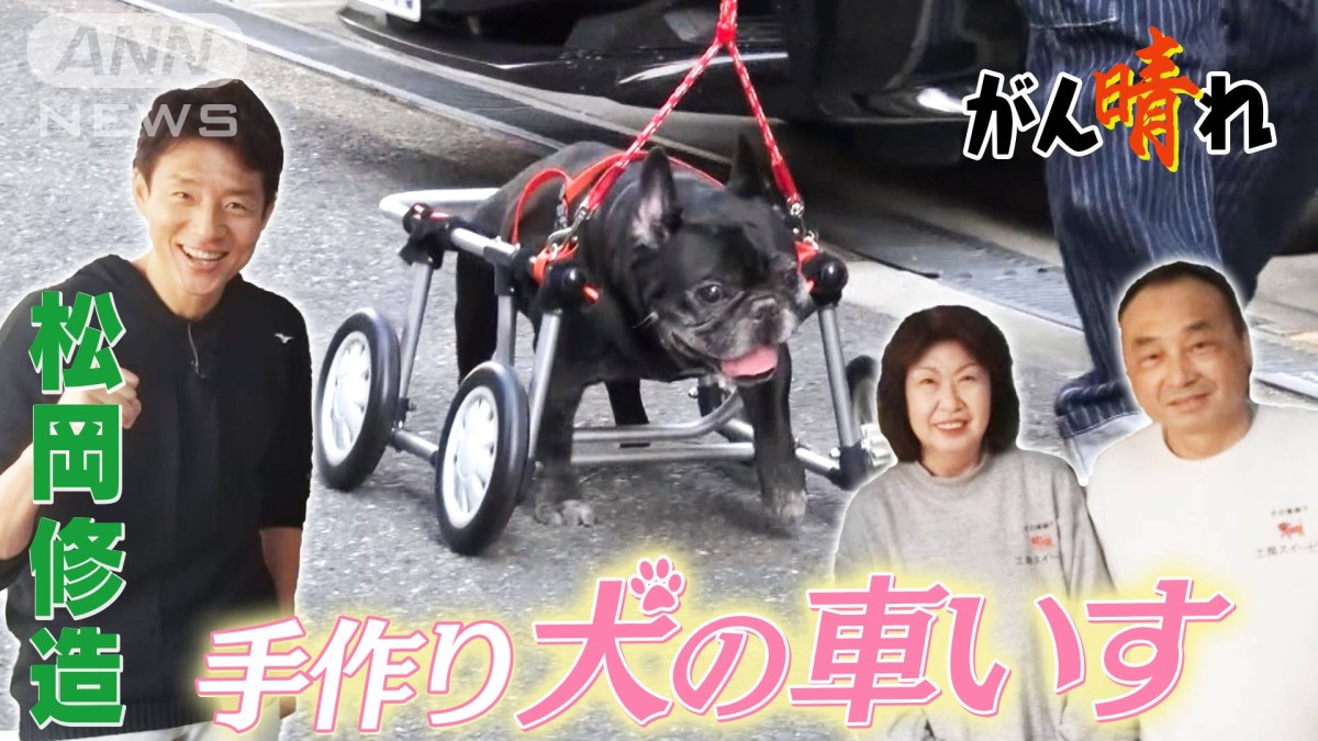 松岡修造のみんながん晴れ】犬も飼い主も笑顔になる“車いす”