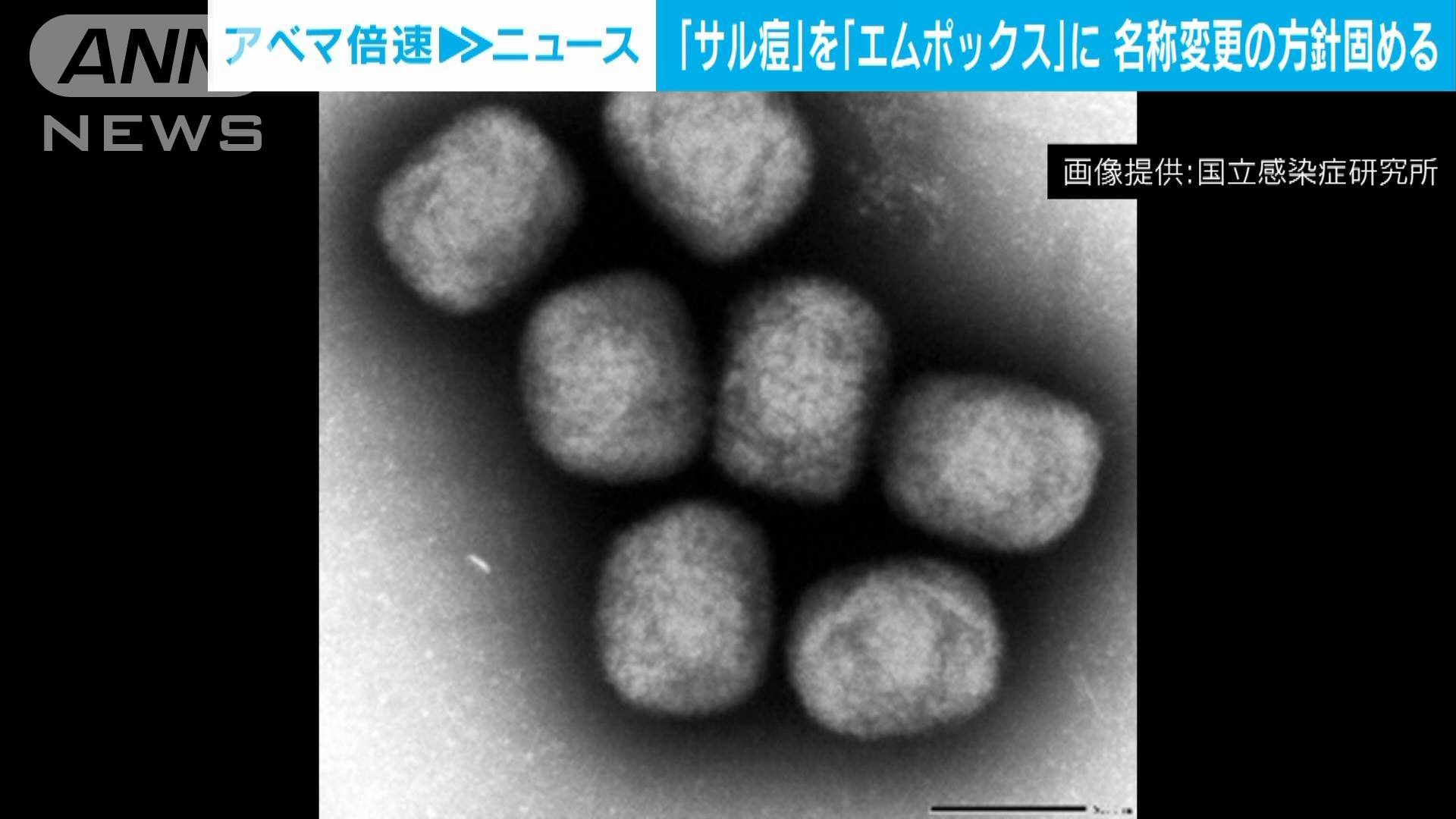 「サル痘」の名称を「エムポックス」への変更方針固まる 厚労省の専門部会