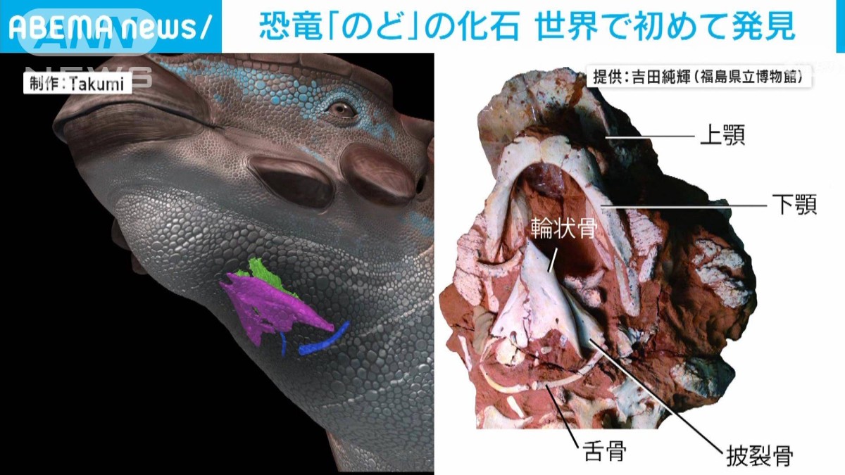 恐竜「のど」化石 世界で初めて発見 音声進化解明の第一歩に