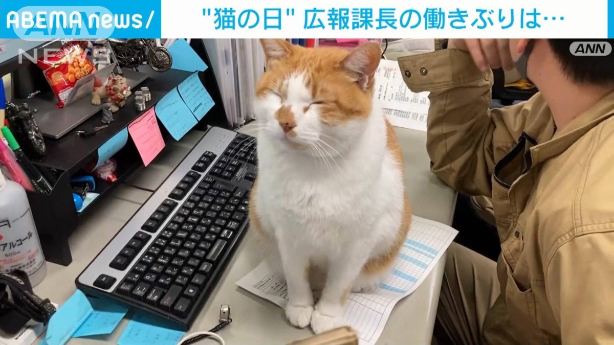 さぁ撮りたまえ」 “猫の日”の広報課長でした