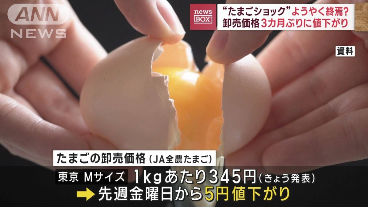 たまごショック”ようやく終焉？ 卸売価格3カ月ぶりに値下がり