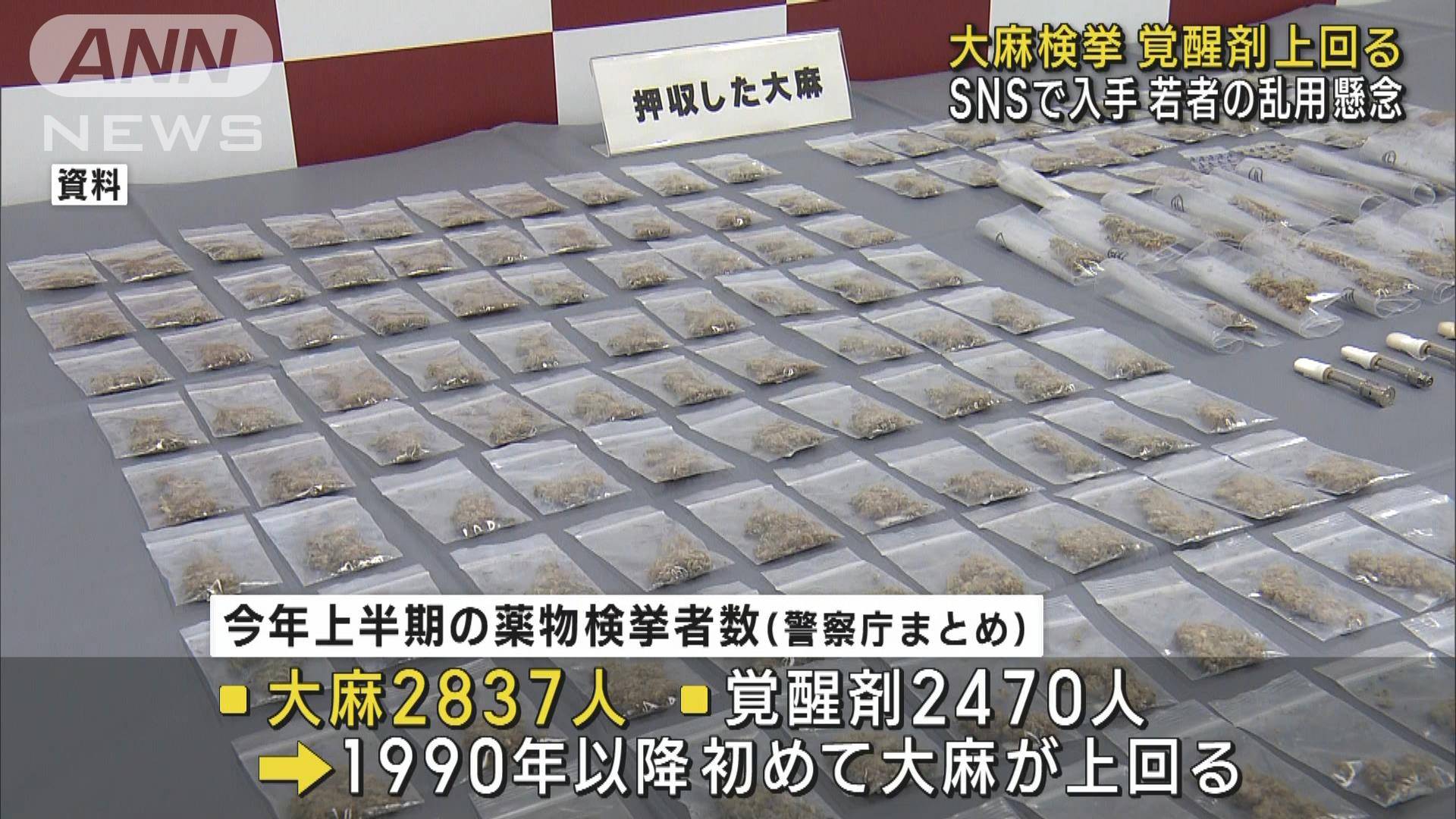 大麻検挙 覚醒剤上回る SNSで入手 若者の乱用懸念