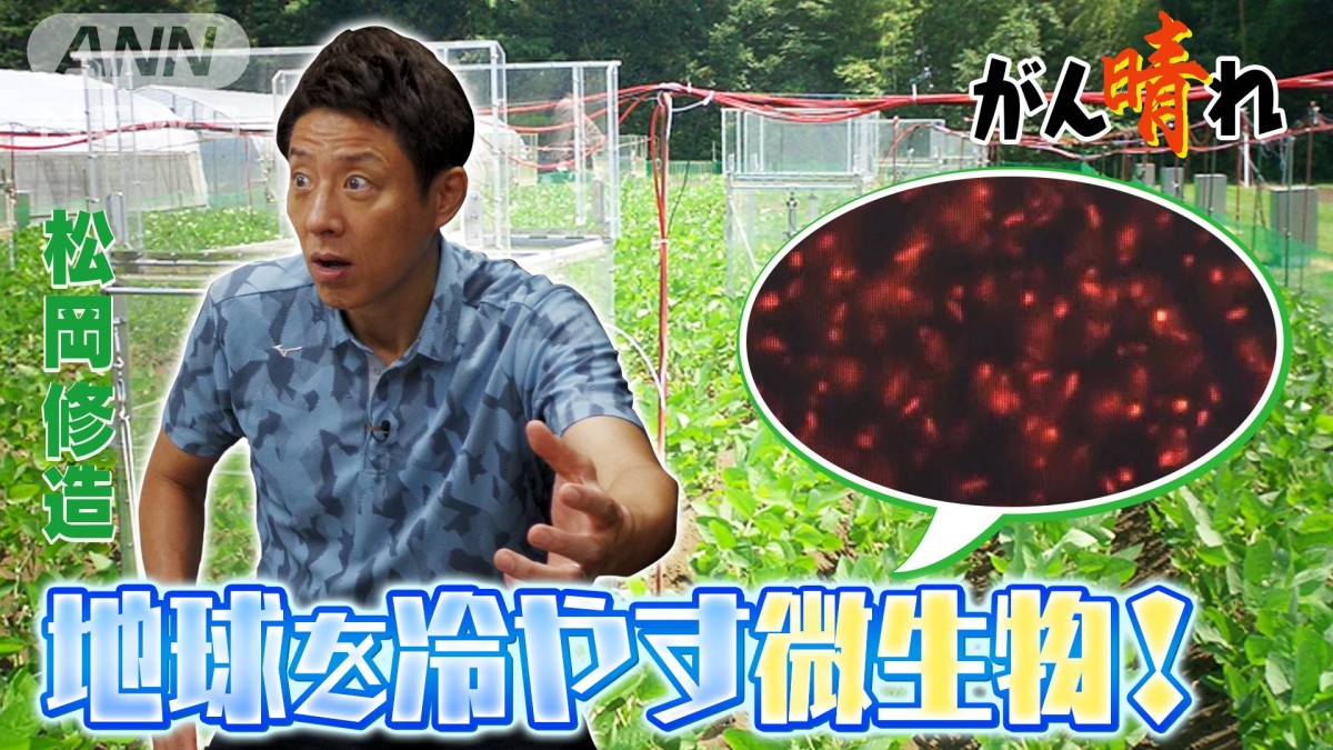 松岡 修造 地球 温暖 化
