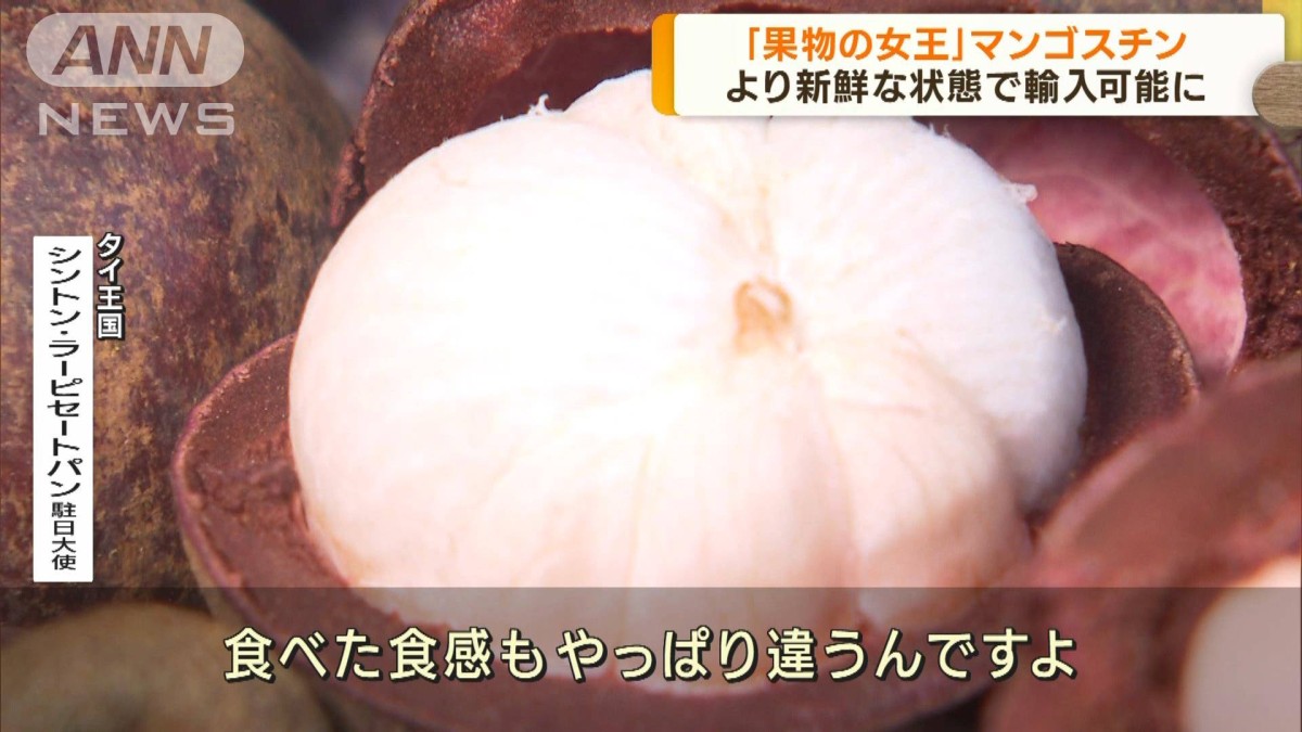 マンゴスチン より新鮮な状態で輸入可能に
