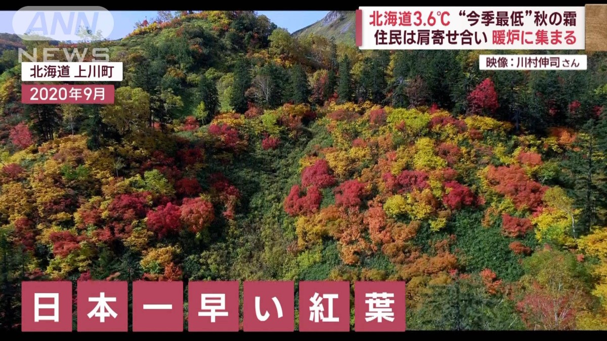 紅葉 日本一早い”紅葉を発見！ 今だけ！幻の光景…太陽が緑色“グリーン