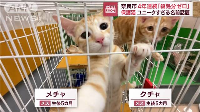ユニークすぎる名前話題　4年連続「殺処分ゼロ」　奈良市