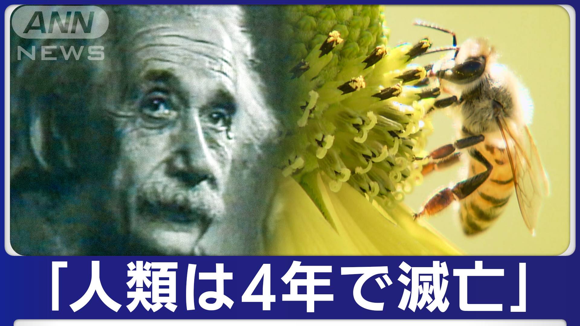 原因