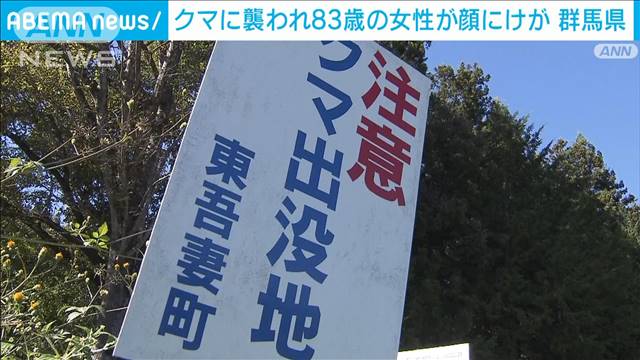 83歳女性　散歩中クマに出くわし顔ひっかかれ搬送　どんぐり不作で人里に“出没”