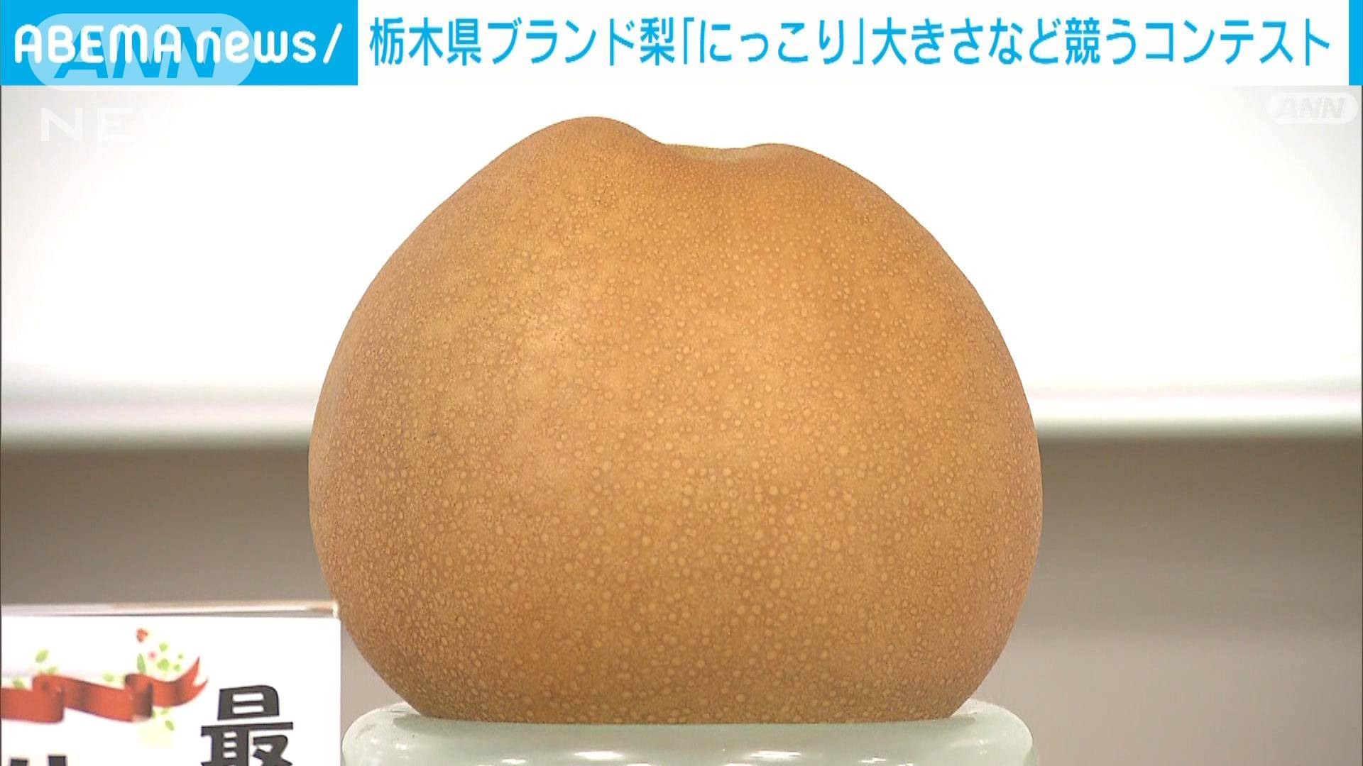 栃木生まれの大玉品種、にっこり梨 , 栃木の大玉梨「にっこり」収穫最盛期を迎える 宇都宮市 – DZSJQ