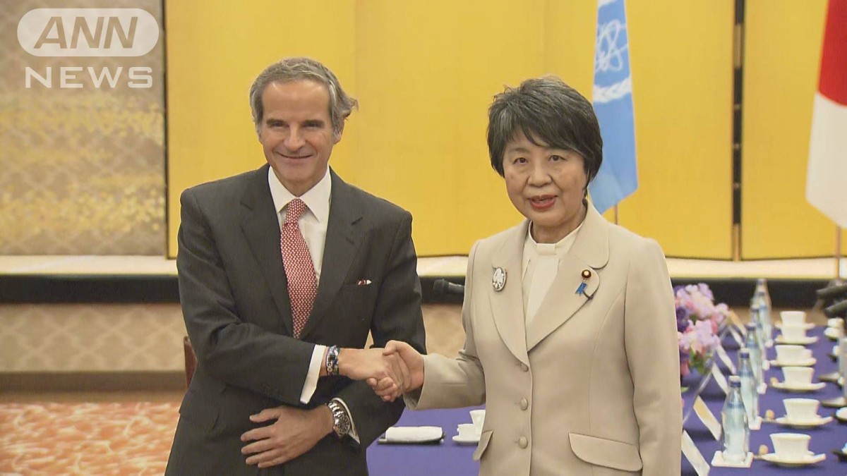 上川外務大臣　IAEAと連携確認　30億円支援表明