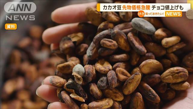 カカオ豆、先物価格急騰　チョコ値上げも 2024年03月28日(木)