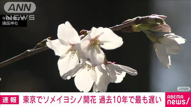 【速報】東京でソメイヨシノ開花　過去10年で最も遅い　気象庁