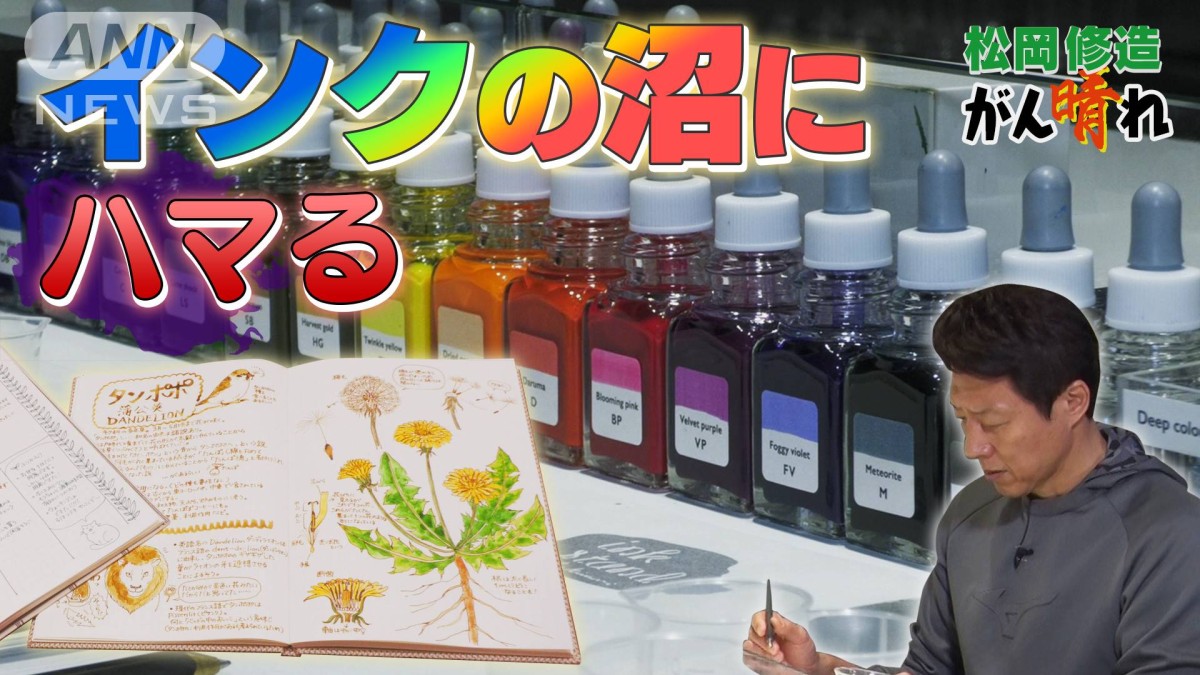 活動歴および当時の関連ビジュアル記録