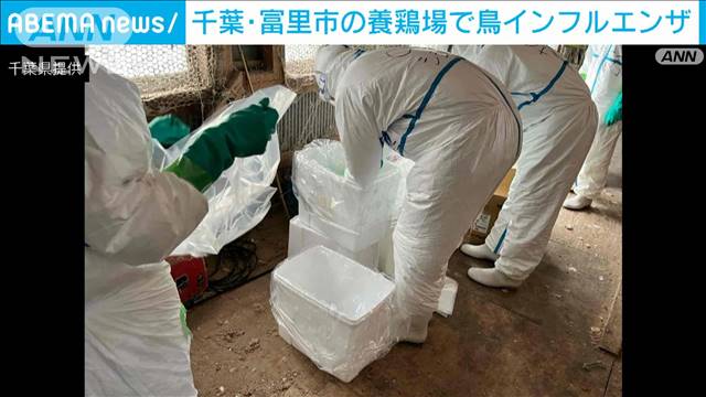 千葉・富里市の養鶏場で鳥インフルエンザ　6万3000羽を殺処分へ 2024年04月29日(月)