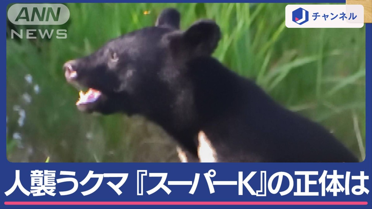 熊 スーパー k