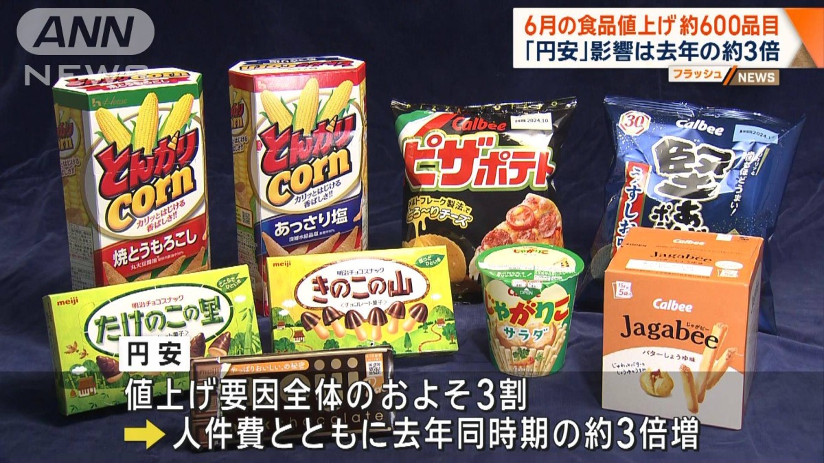 お客　食品15点 6月の食品値上げ 約600品目 「円安」影響は去年の約3倍