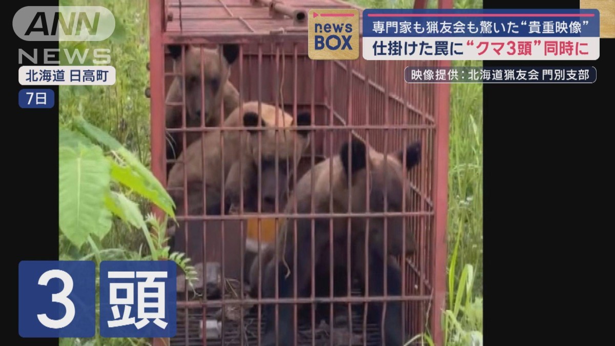 仕掛けた罠に“クマ3頭”同時に 専門家も猟友会も驚いた“貴重映像”