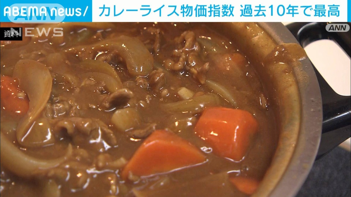 カレーライス物価指数”…1食あたりの費用が過去10年で最高