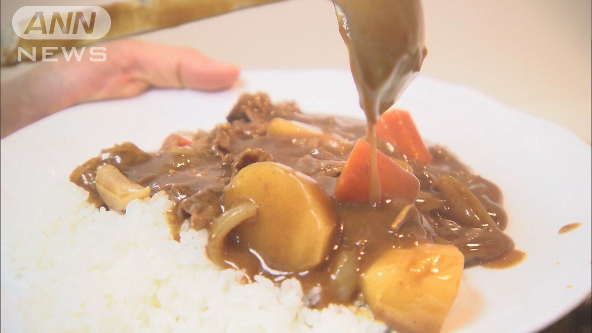 カレーライス物価”過去10年で最高 野菜にコメまで…食材費高騰