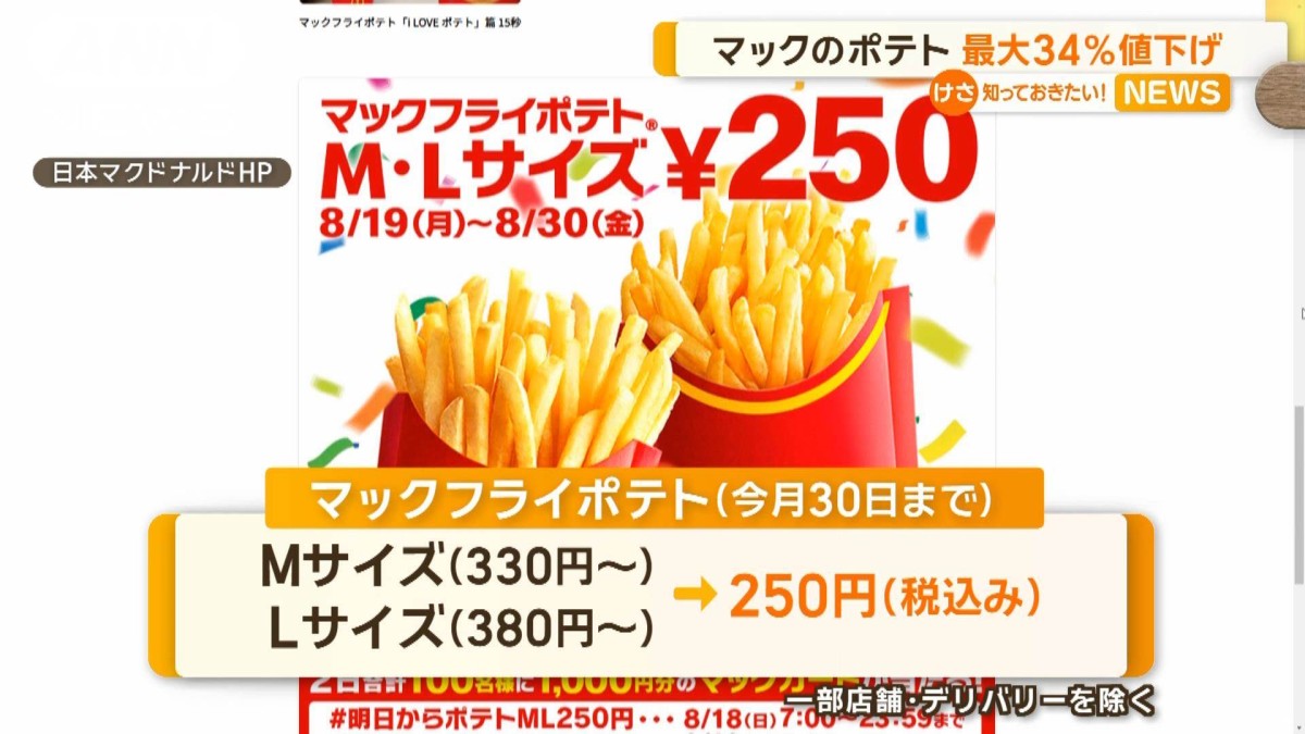 マクドナルドがフライドポテト値下げ…特別価格250円で最大34％値下げ 8