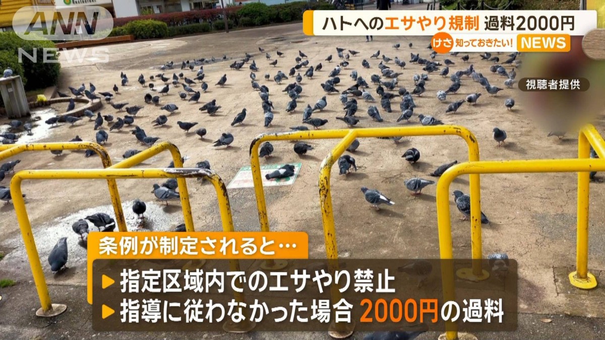 ハトへのエサやりを規制 「過料2000円」 千葉・習志野市