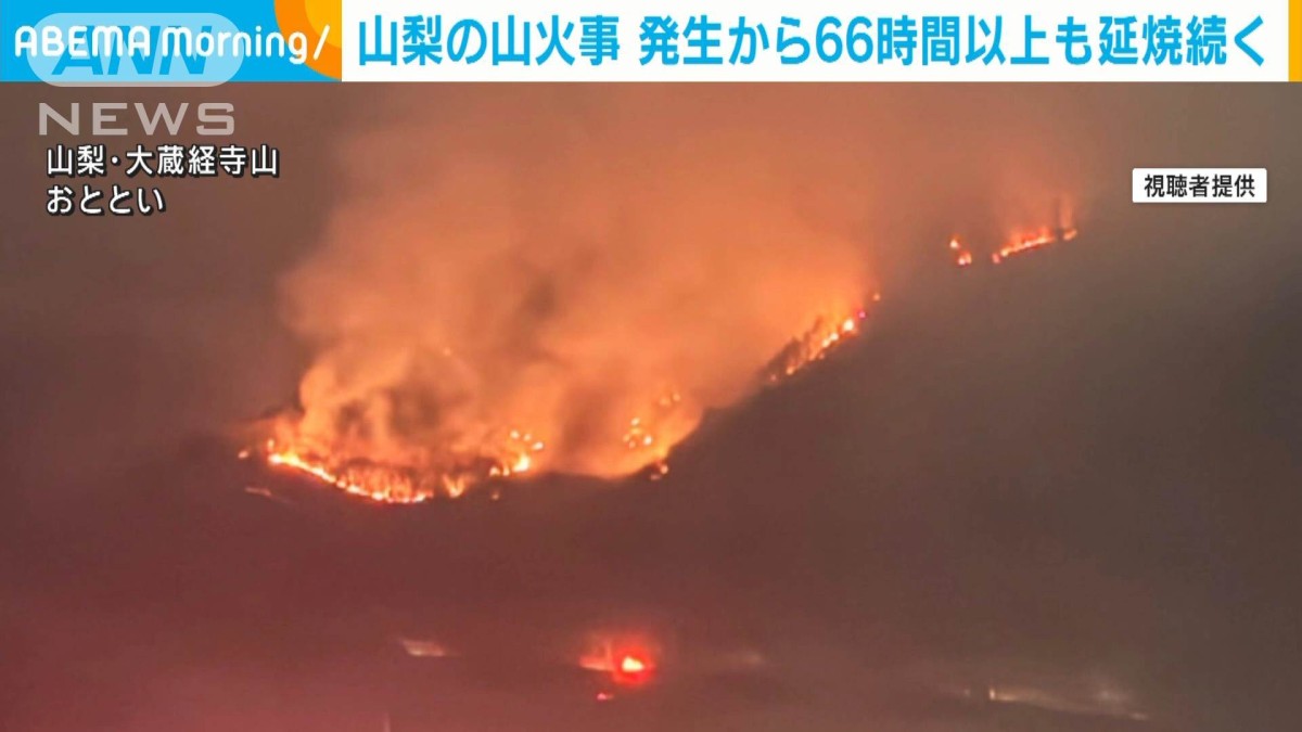山 火事 山梨