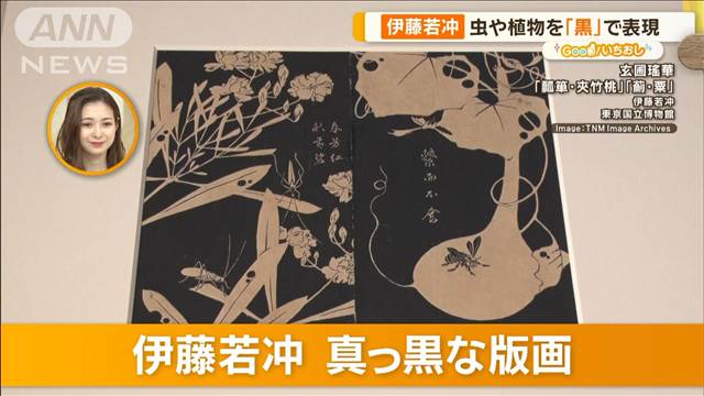 何にも染まらず「黒」と江戸絵画　日本人独自の価値観とは？【グッド！いちおし】