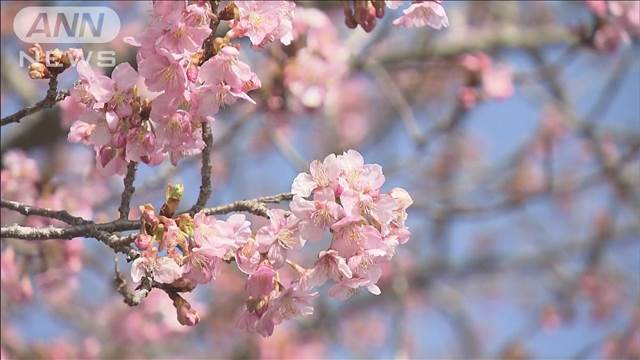 全国的に4月並みの気温 北日本・北陸は今年一番の暖かさ