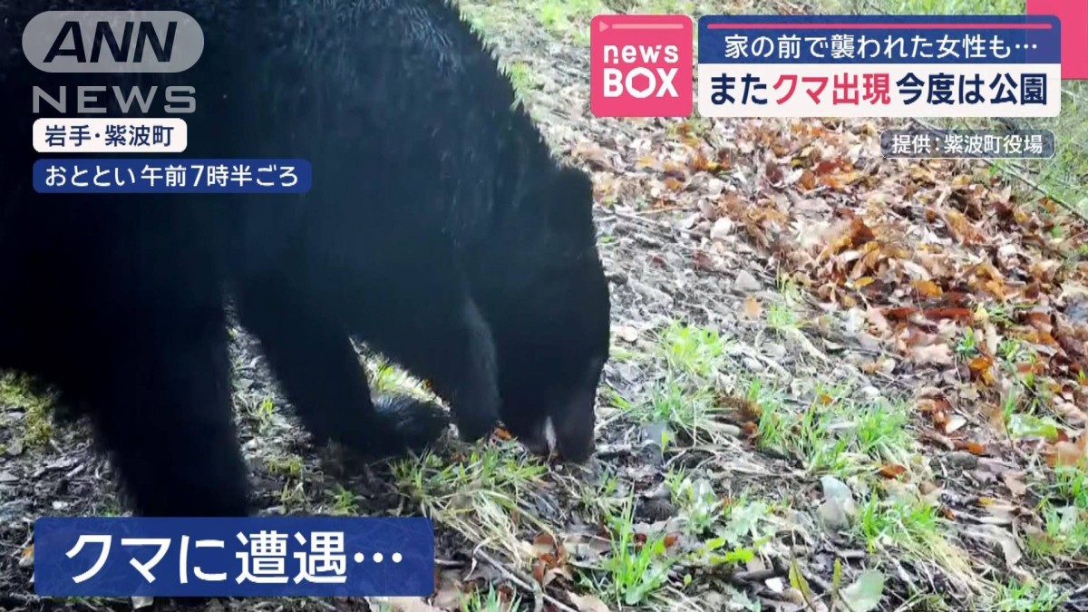 ダメかと思った」公園にクマ出現 岩手