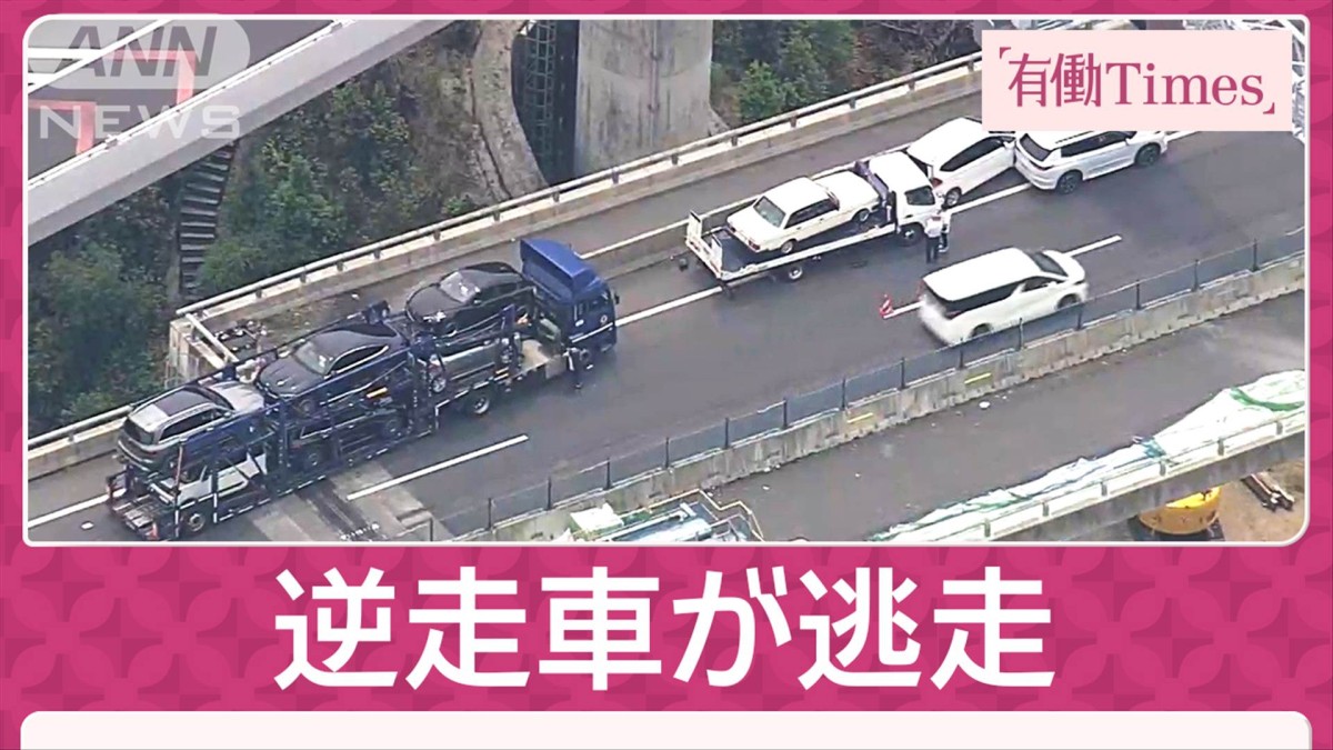 【逆走】「運転手は外国人に見えた」新名神高速に逆走車、女性4人けが…6台絡む多重事故も逃走中 ウメボシ速報