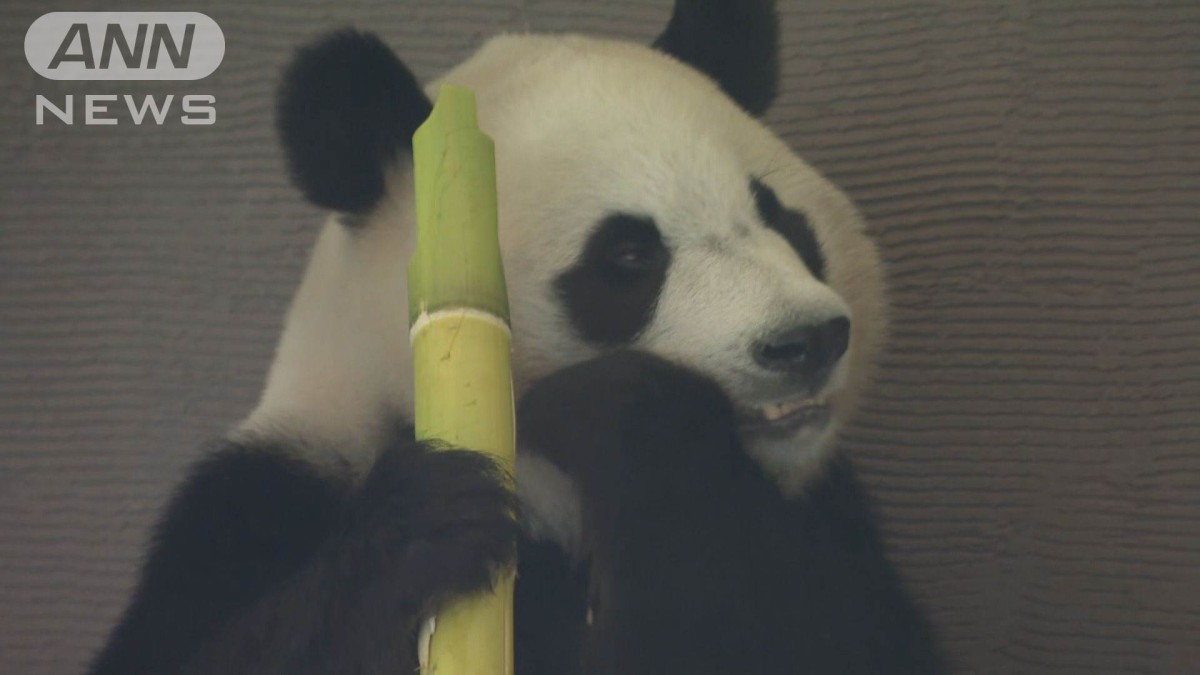 中国返還のパンダに行列 検疫のためガラス越しの公開 和歌山