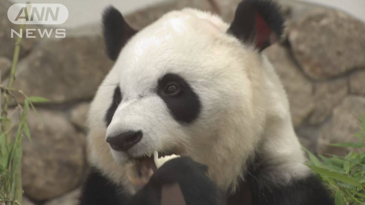 ありがとう」パンダ 28日に中国へ 開園前から1400人が列 和歌山