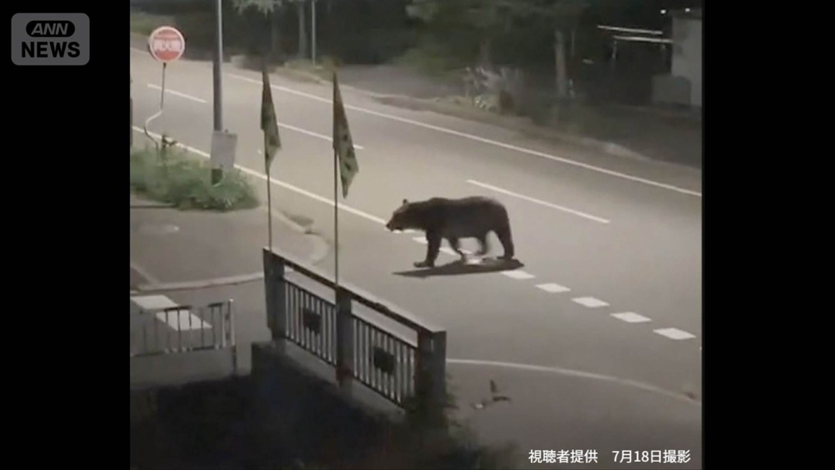 速報】北海道福島町で駆除のヒグマ DNA鑑定で死亡男性に付着のクマ体毛