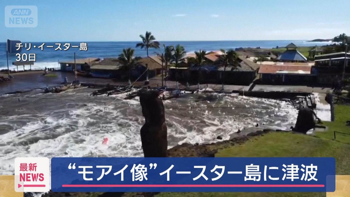 モアイ出品　その他の方の購入はご遠慮ください。 モアイ出品 その他の方の購入はご遠慮ください。 世界で唯一正式許可を