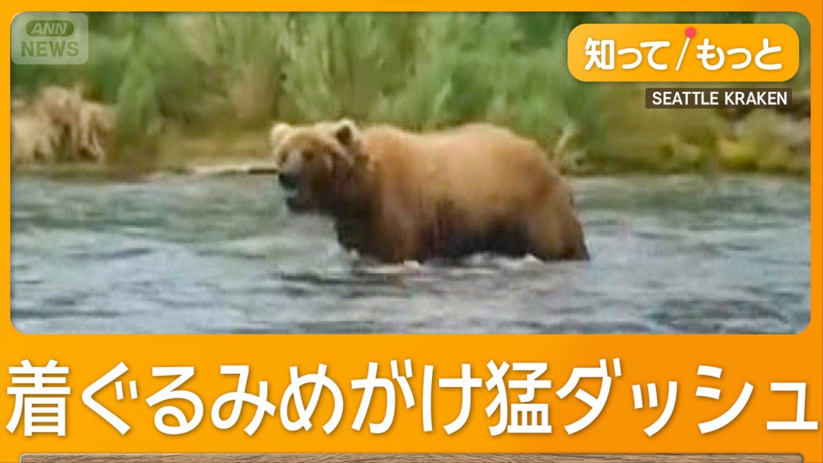 NHLチームPR動画撮影中に巨大グマ「グリズリー」遭遇　マスコットに突進もけがなし