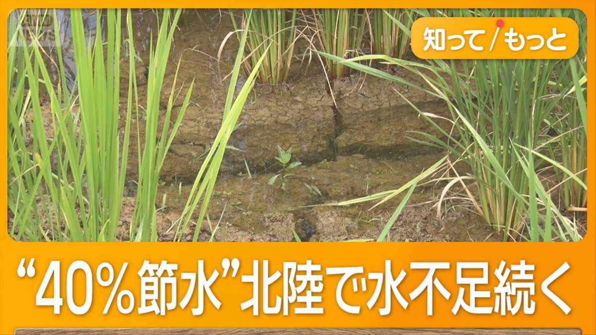 北陸に40日ぶりの雨　それでも田に水たまらず　保水力低下、コメ収穫激減の恐れ