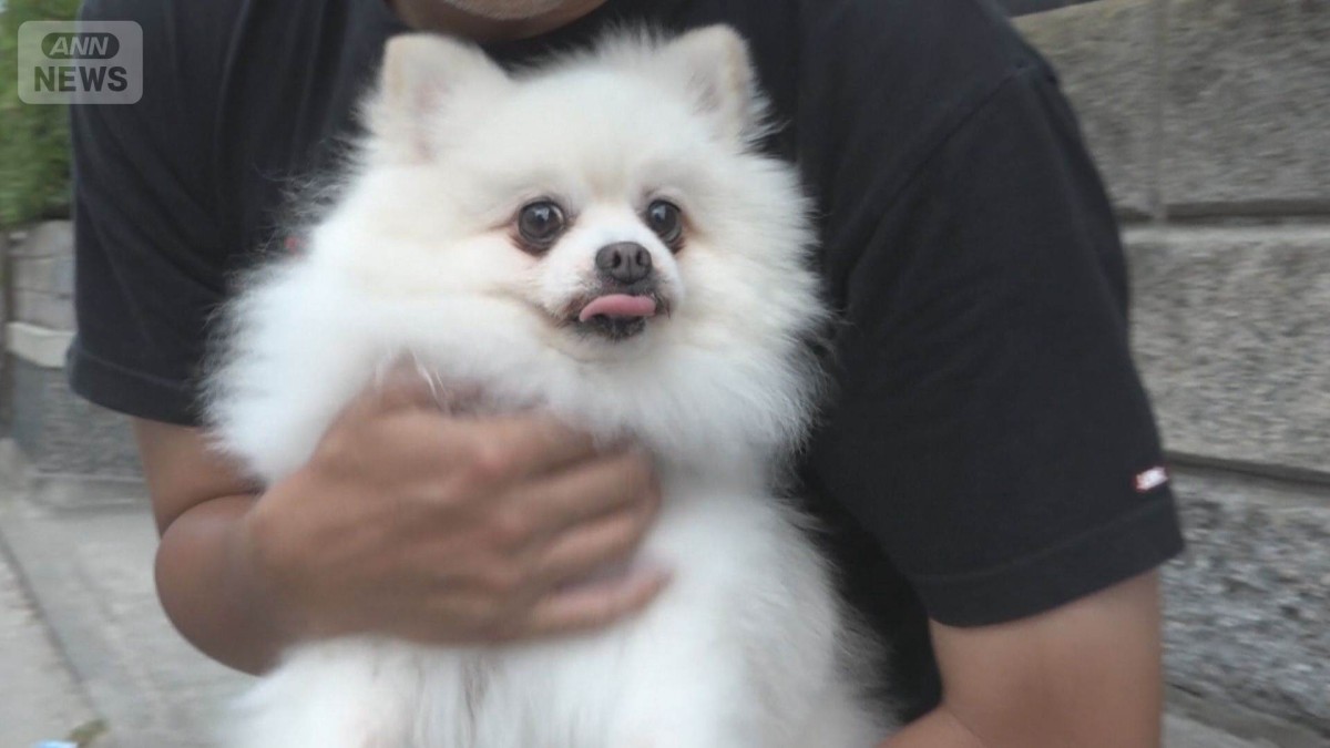 公園で犬の散歩NGに賛否　約60年前に条例で禁止「時代遅れ」と指摘も　見直し検討へ