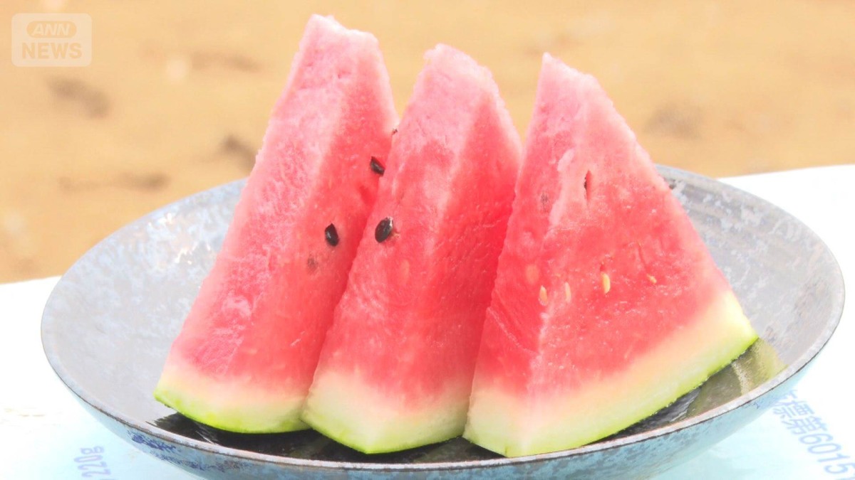 残ったスイカ…冷蔵？冷凍？　“あるコツ”で誰でも簡単！