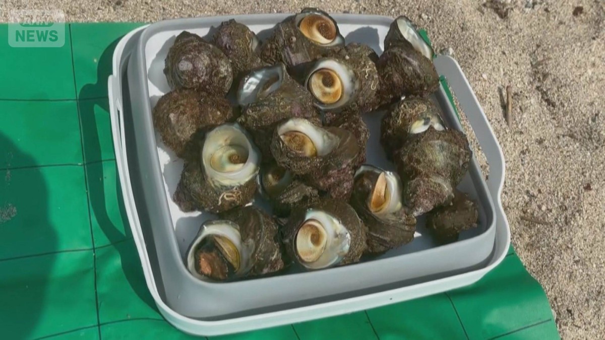 “レジャー密漁”摘発の瞬間　「写真だけ撮るために」