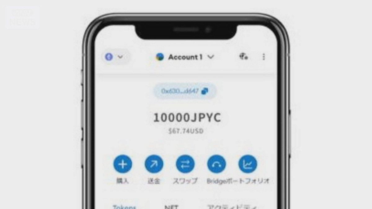 国内初の「ステーブルコイン」今秋に発行へ　スタートアップの「JPYC」　円建てで