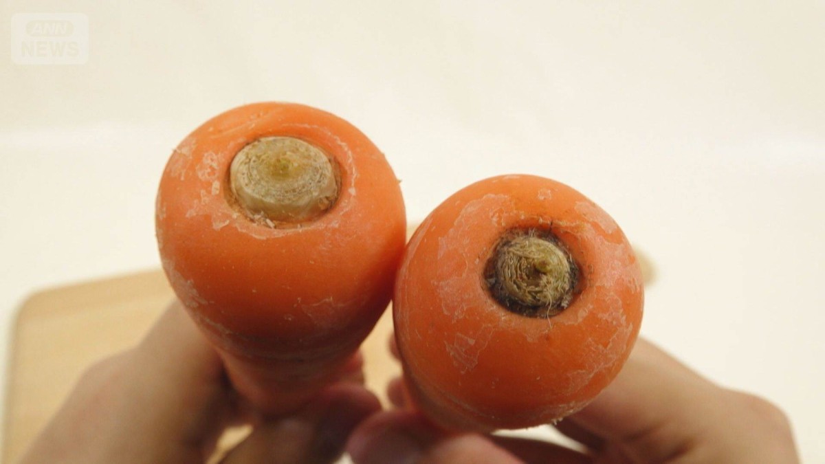 ニンジンは“芯に秘密”　太いか？細いか？