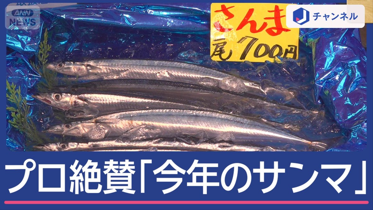 今年のサンマは一味違う！！　プロが絶賛…何が違う？