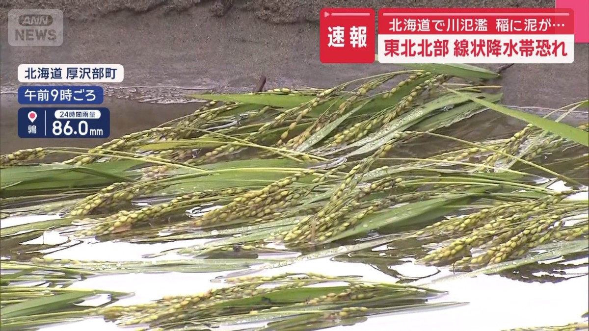 北海道で川氾濫　稲に泥が…　東北北部で線状降水帯恐れ
